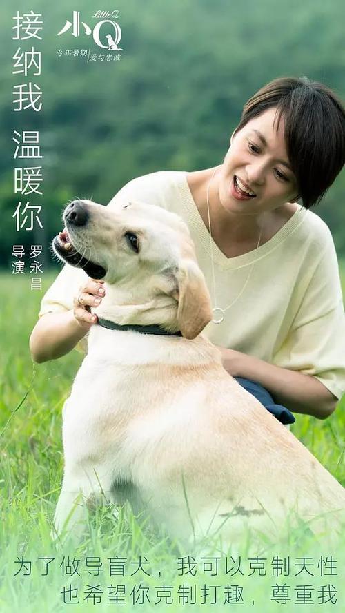 怎么办假代托纳州立学院文凭毕业证